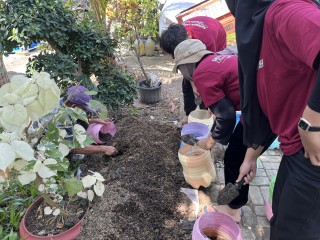 Potensi Ekowisata Mangrove dan Wisata Herbal Desa